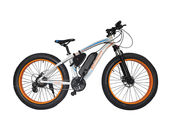 48v Electric Mountain Bike , Front Disc Brake Electric Powered Bicycle Brushless Motor